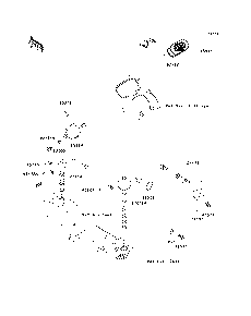 Meters
