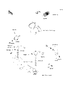 Meters