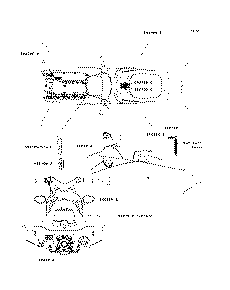 Labels(JH1200-A1/A2/A3)