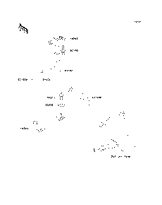 Bilge System