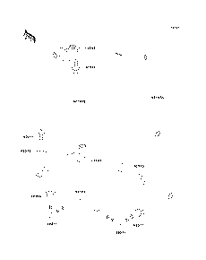 Bilge System