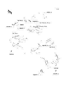 Labels