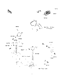 Meters