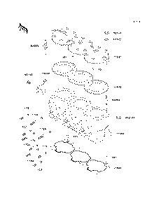 Cylinder Head/Cylinder