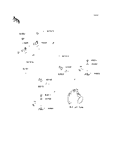 Bilge System