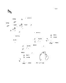 Bilge System