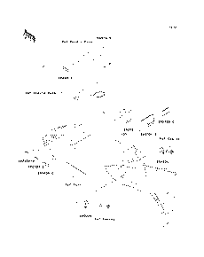 Labels