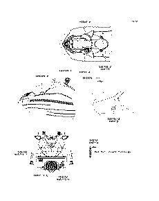 Labels