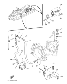 HULL & DECK