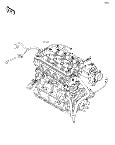 Engine Assembly(Only US,Canada Markets)