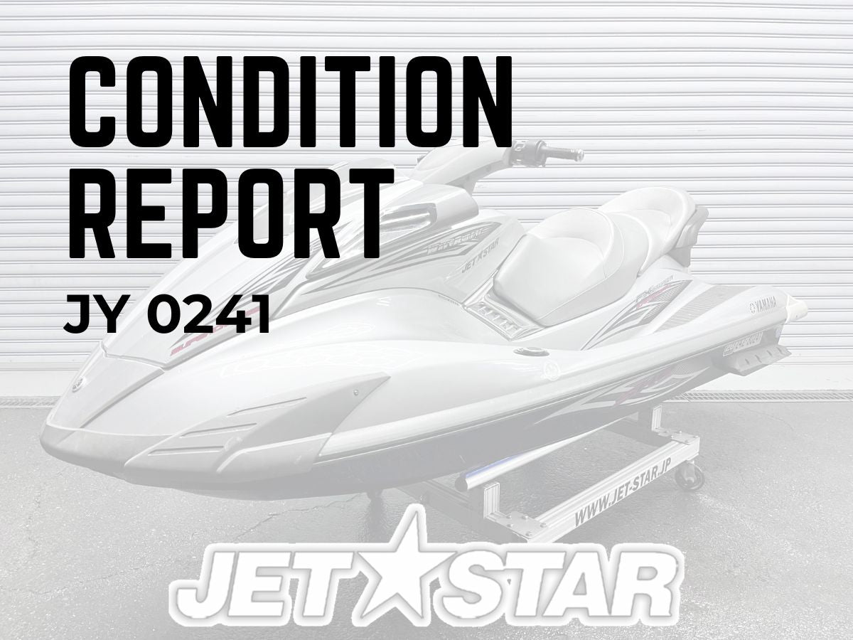 CONDITION REPORT :JY0241