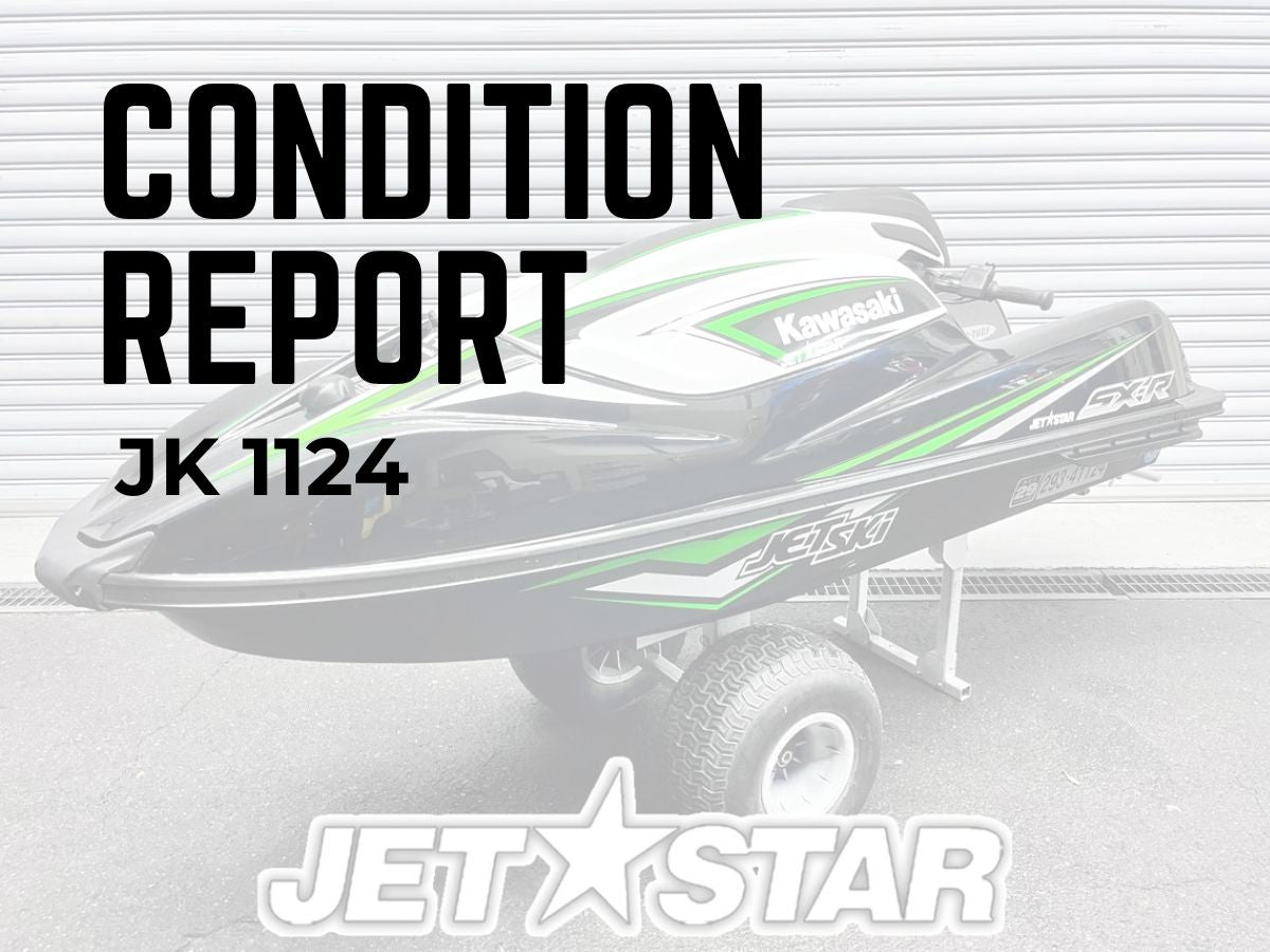 CONDITION REPORT :JK1124