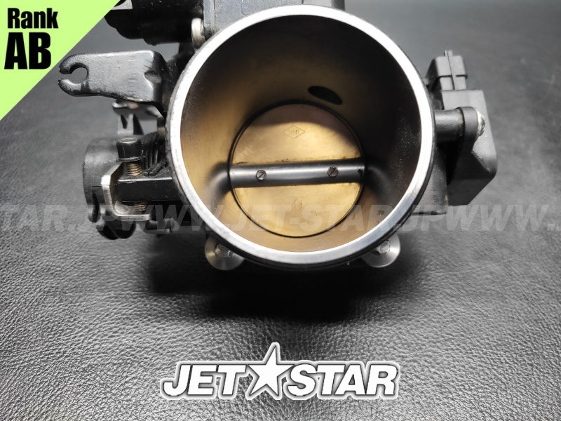 Used 420892450 THROTTLE BODY [S5613-04]