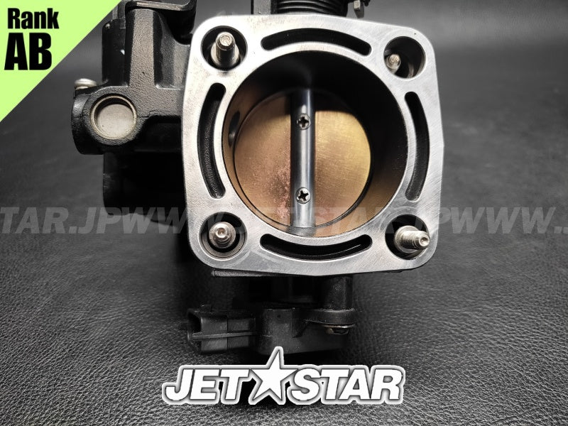 Used 420892450 THROTTLE BODY [S5613-04]