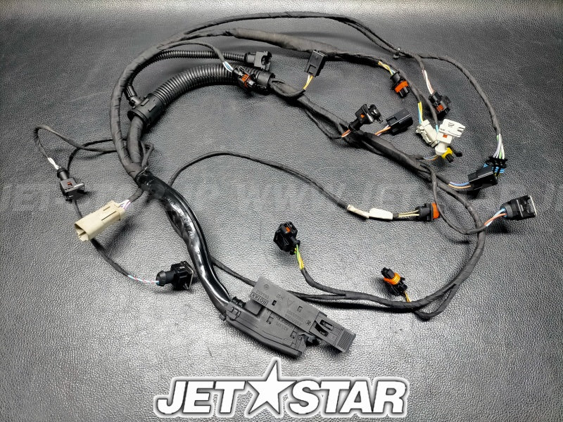 Used 420664951 ENGINE WIRING HARNESS ASS'Y [S5908-10]