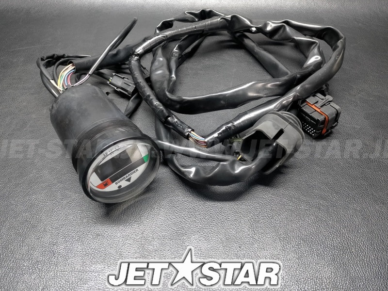 Used 204470675 LCD INFO GAUGE (WITH DEFECT) [S6151-11]