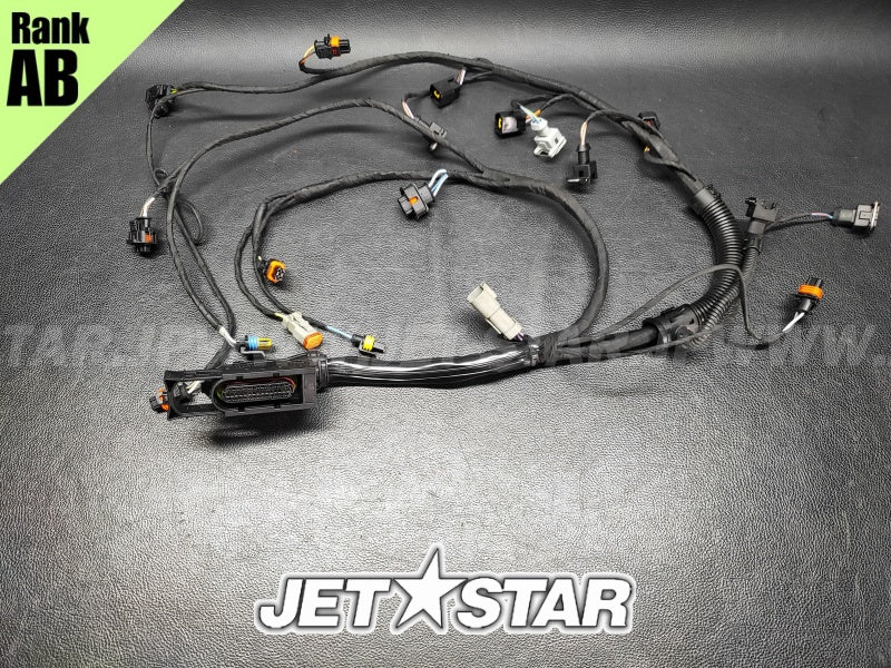 Used 420664056 WIRING HARNESS ASS'Y [S8779-22]