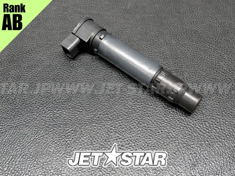 Used 296000307 STICK COIL [S9428-12]