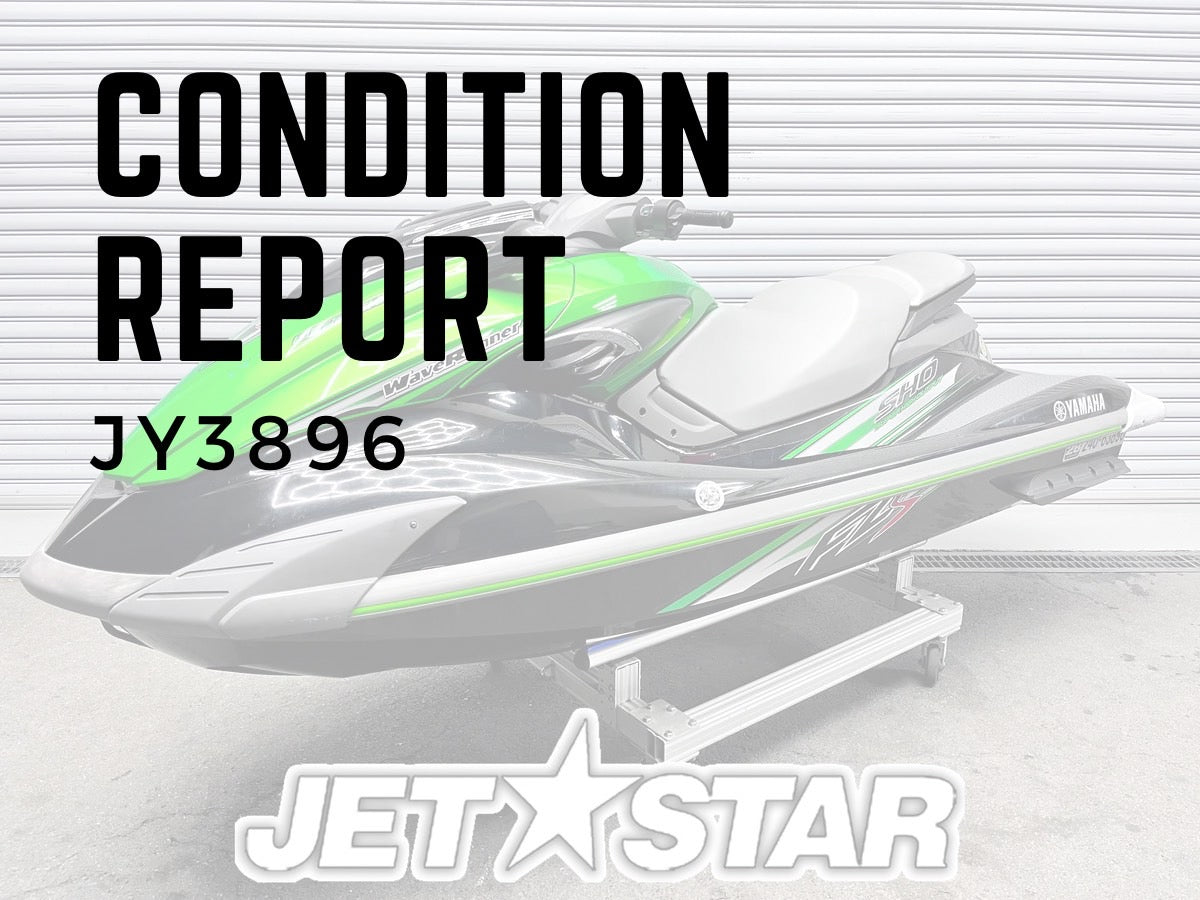 CONDITION REPORT :JY3896
