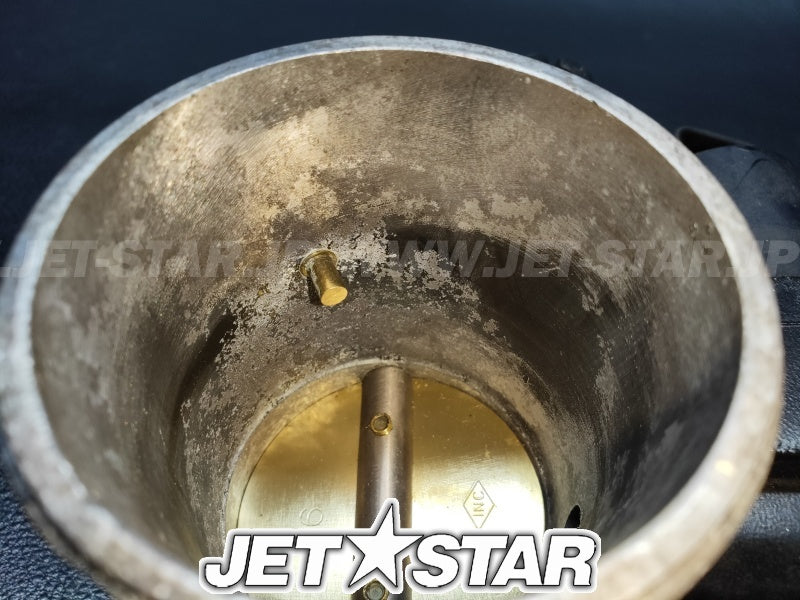 Used 420892450 THROTTLE BODY [X2307-55]