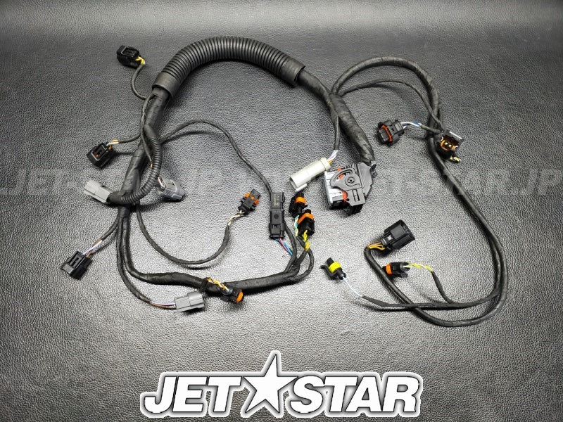 Used 420665206 ENGINE WIRING HARNESS ASS'Y [X2307-91]