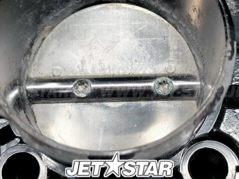 Used 420892592 THROTTLE BODY [X2308-68]