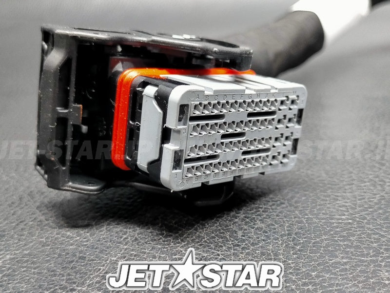 Used 420964084 ENGINE WIRING HARNESS ASS'Y [X2308-75]