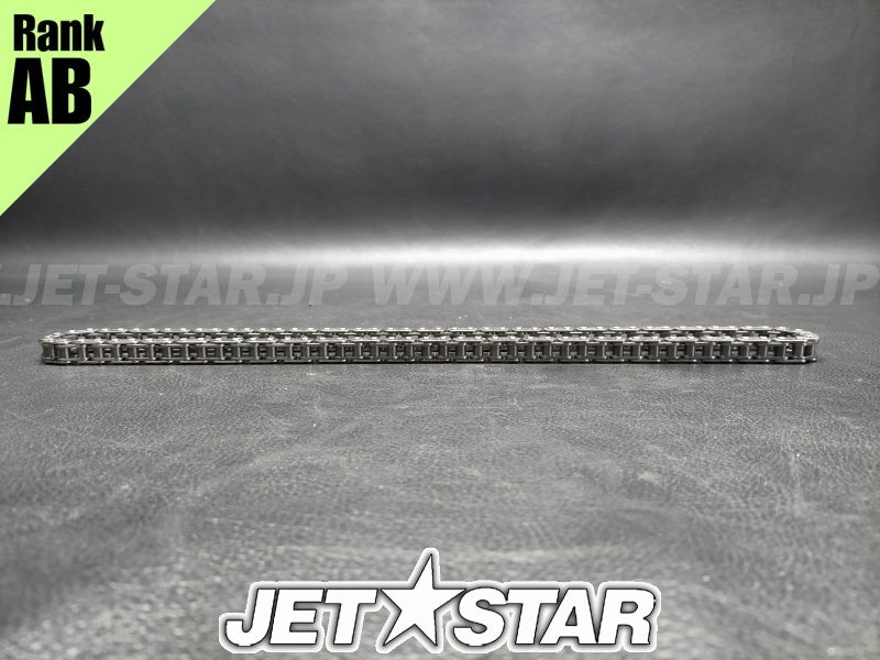 Used 420898042 CAMSHAFT CHAIN [X2311-99]