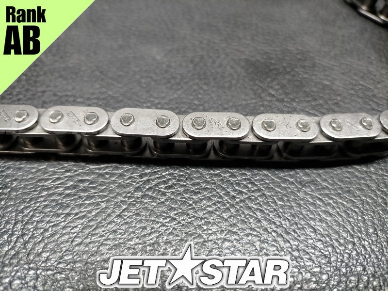 Used 420898042 CAMSHAFT CHAIN [X2311-99]