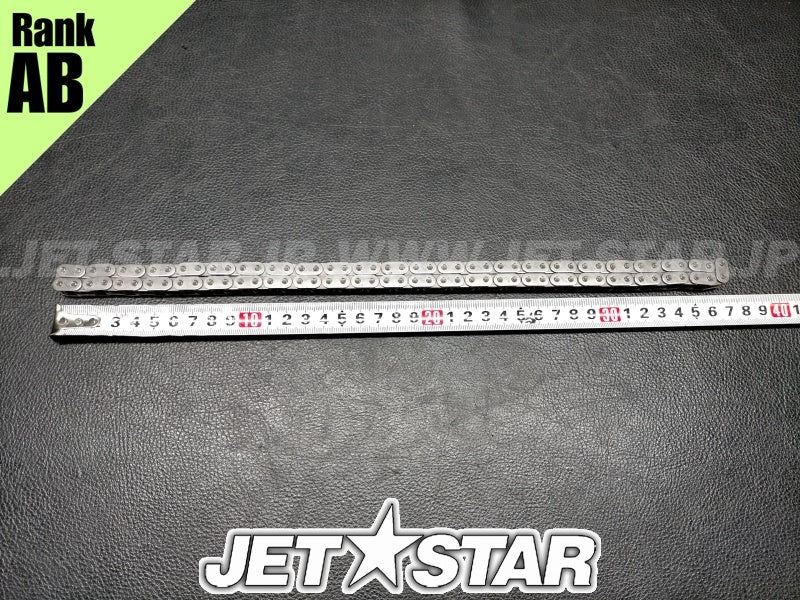 Used 420898042 CAMSHAFT CHAIN [X2311-99]