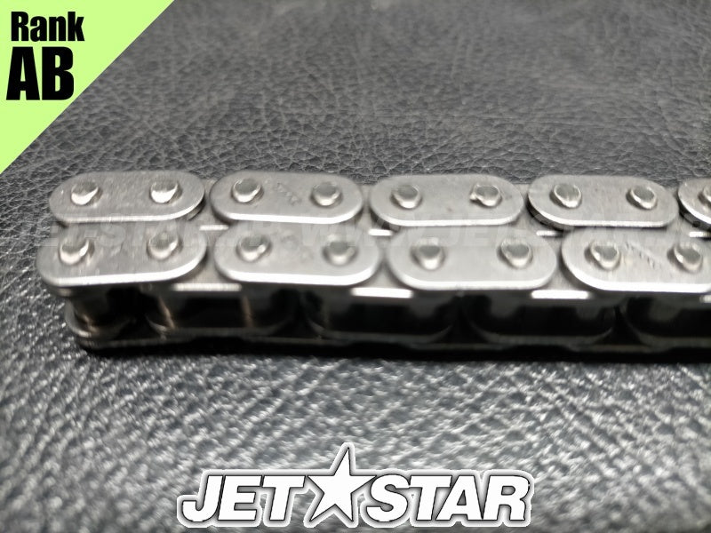 Used 420898042 CAMSHAFT CHAIN [X2311-99]