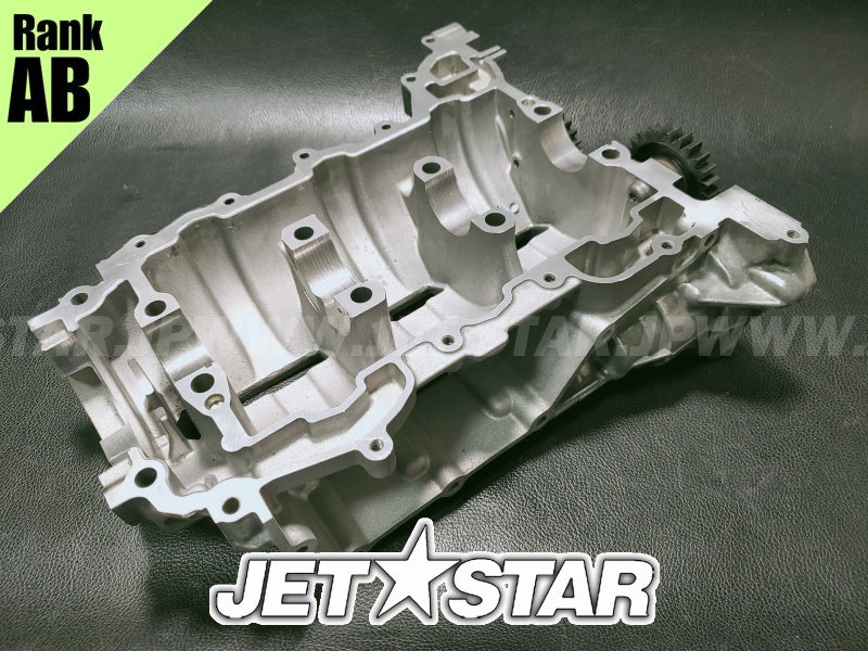 Used 420894026 CRANKCASE ASS'Y [X2401-53]