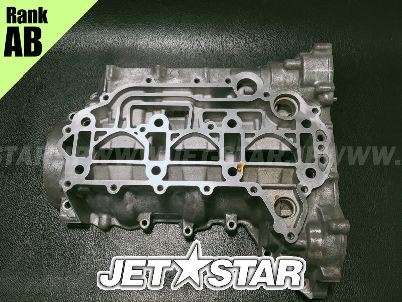 Used 420894026 CRANKCASE ASS'Y [X2401-53]