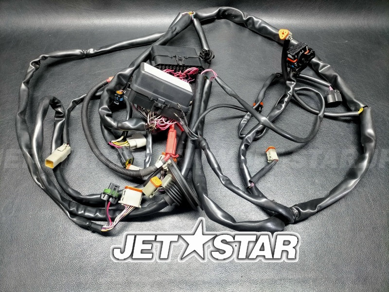 Used 278002398 WIRING HARNESS MAIN (WITH DEFECT) [X2408-60]