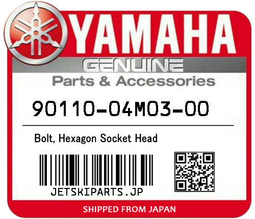 YAMAHA OEM BOLT, HEXAGON SOCKET HEAD New #90110-04M03-00 #91317-04008-00