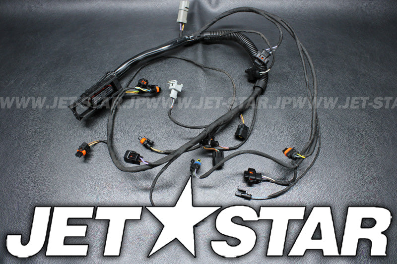 Used 420665205 ENGINE WIRING HARNESS ASS'Y [S1169-14]