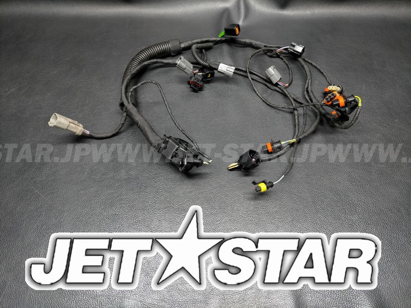 Used 420665201 ENGINE WIRING HARNESS ASS'Y [S2540-29]