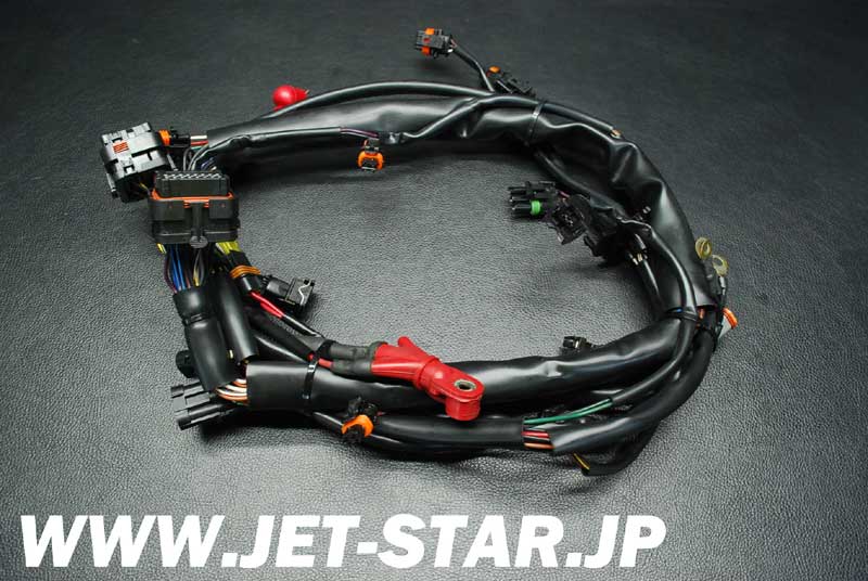 SEADOO GTI  LE RFI '03 OEM WIRING HARNESS Used [S560-068]