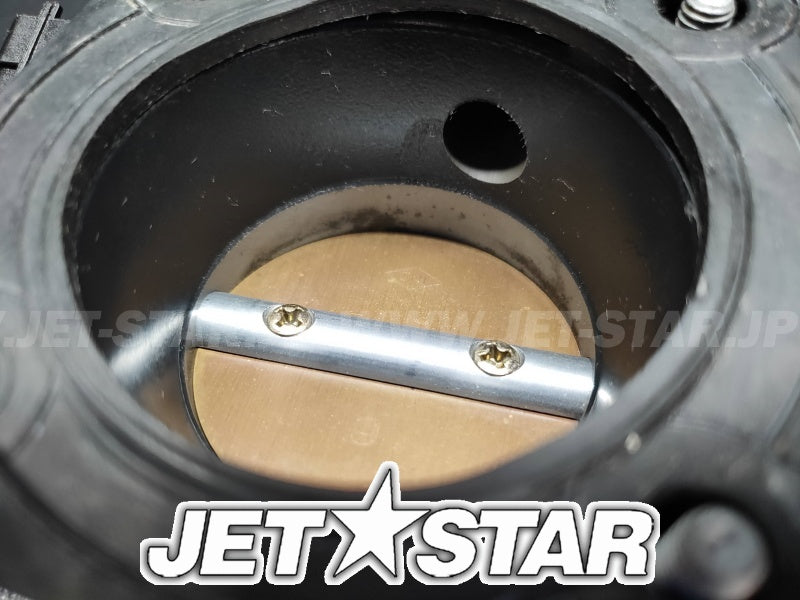 Used 420892450 THROTTLE BODY [S7142-01]