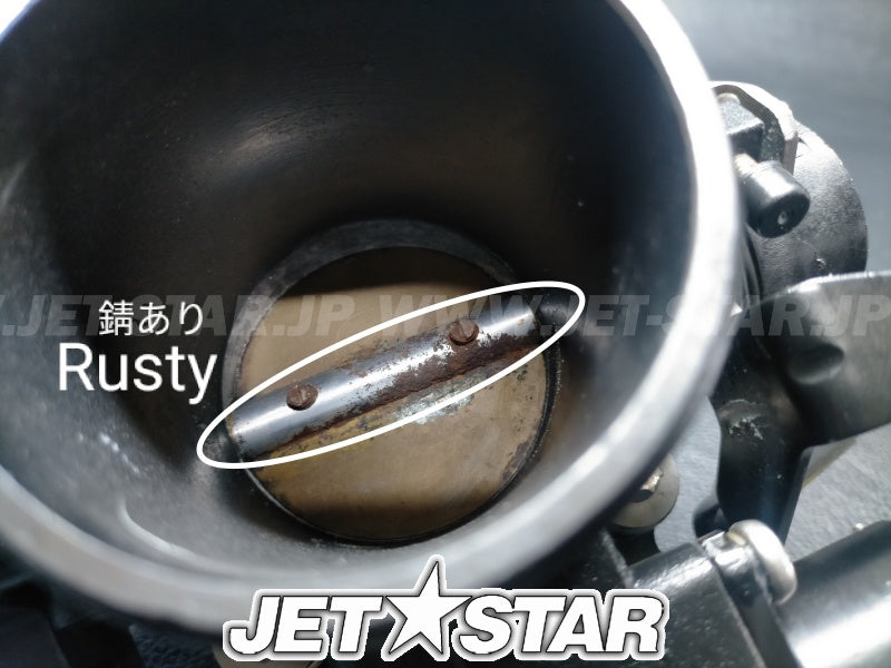 Used 420892450 THROTTLE BODY [S7533-04]