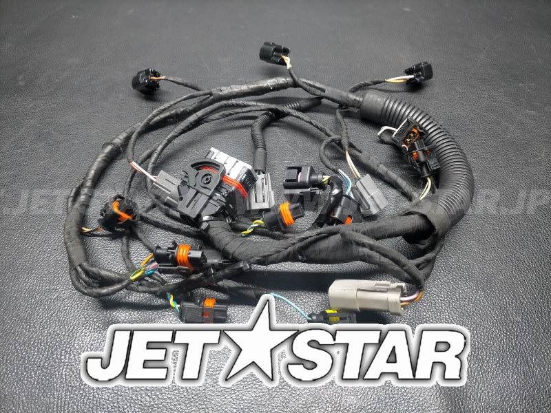 Used 420665206 ENGINE WIRING HARNESS ASS'Y [S8148-30]