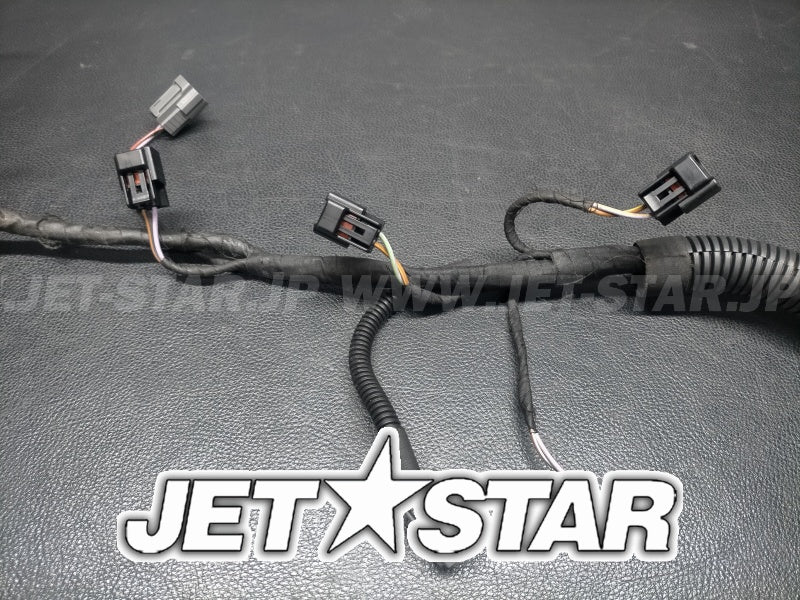 Used 420665206 ENGINE WIRING HARNESS ASS'Y [S8148-30]
