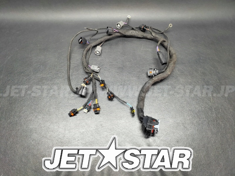Used 420964084 ENGINE WIRING HARNESS ASS'Y [S9026-08]