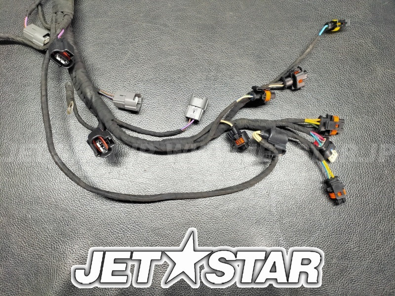 Used 420964084 ENGINE WIRING HARNESS ASS'Y [S9026-08]
