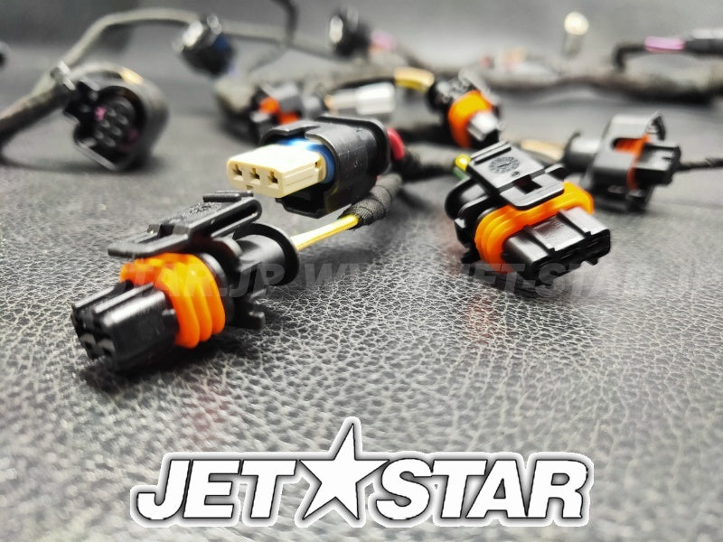 Used 420964084 ENGINE WIRING HARNESS ASS'Y [S9026-08]