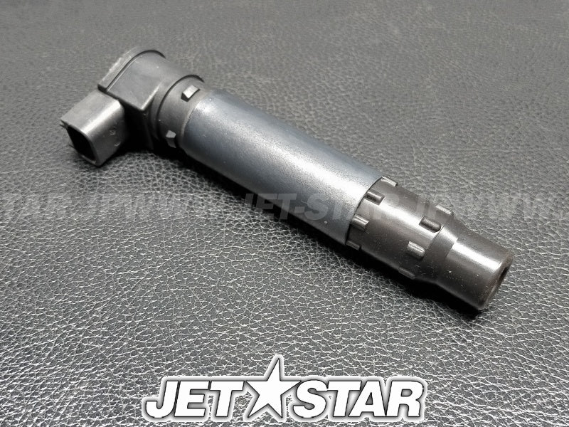 Used 420664020 IGNITION COIL [S9494-12]