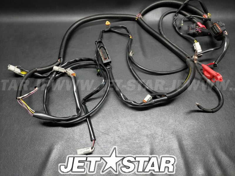 Used 278002119 MAIN HARNESS [S9494-14]